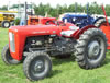 Massey Ferguson MF 35 4 Cylinder Diesel 1958